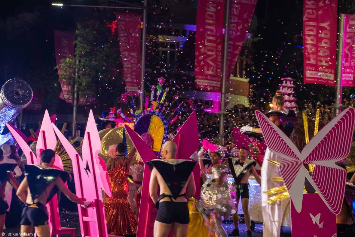 Image 9 of The 40th Year of the Sydney Mardi Gras Parade